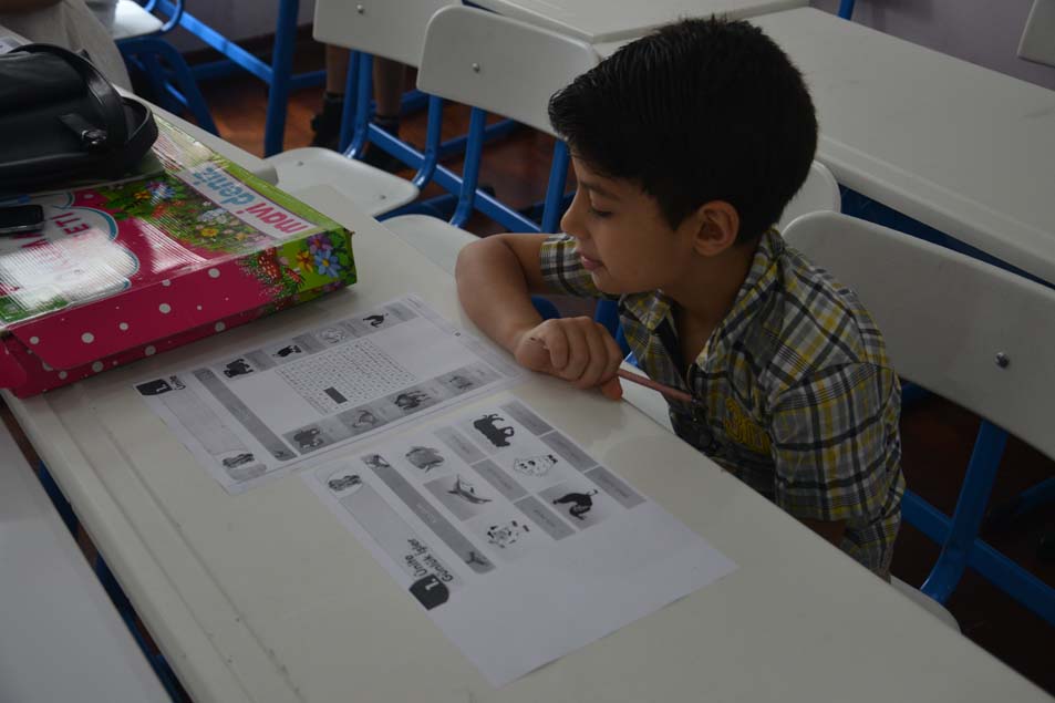 Turkish language Teacher