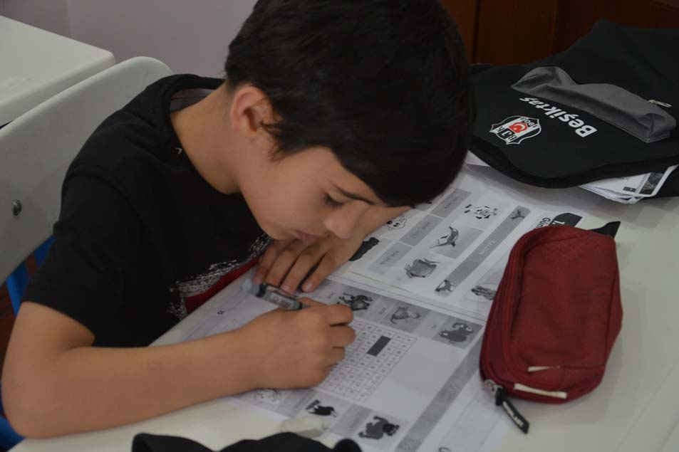 Turkish language Teacher